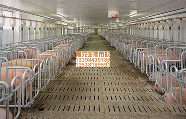 南充養(yǎng)殖場(chǎng)漏糞板_漏糞2.jpg